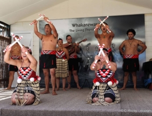 Whakarewarewa Living Maori Village Performance